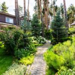 Продаж будинку 500м², 20 соток, Ходосівка | 10