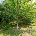 Продаж будинку 309м², 20 соток, Віта-поштова | 12