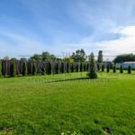 Продаж будинку 252м², 17 соток, Нові Петрівці | 13