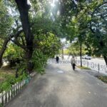 Оренда комерційної нерухомості по вул. Щербаківського Данила, 49 м² | 8