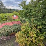 Продаж будинку 300м², Хлепча | 18