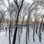 Оренда 1 кімн. квартири по вул. Берестейський 42 | 7