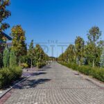 Продаж будинку 193.1м², 8.21 соток, Лісники | 22