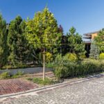 Продаж будинку 276м², 8 соток, Лісники | 13