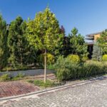 Продаж будинку 193.1м², 8.21 соток, Лісники | 23