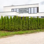 Продаж будинку 160м², 5 соток, Ходосівка | 7