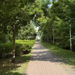 Продаж 1 кімн. квартири по вул. Регенераторна 16 | 12
