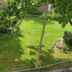 Оренда будинку 180м², 6 соток, Київ | 4