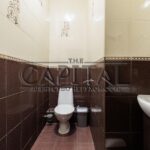 Продаж комерційної нерухомості по вул. Калнишевського Петра, 189 м² | 23