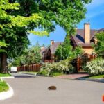 Продаж будинку 700м², 25 соток, Гора | 3
