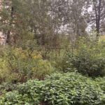 Продаж комерційної нерухомості по вул. Берковецька, 0 м² | 17