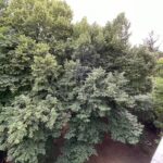 Оренда 2 кімн. квартири по вул. Новогоспитальна 5А | 5