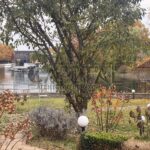 Продаж будинку 500м², 20 соток, Козин | 7