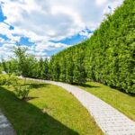 Оренда будинку 453м², 35 соток, Вишеньки | 21