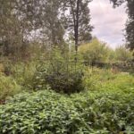 Продаж комерційної нерухомості по вул. Берковецька, 0 м² | 15