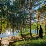 Продаж будинку 762м², 22 соток, Забір'я | 9