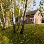Оренда будинку 250м², 28 соток, Козин | 2