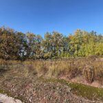 Продаж земельної ділянки, 100 соток, Лісники | 5