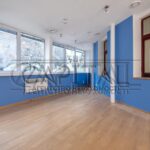 Оренда комерційної нерухомості по вул. Ірининська, 275 м² | 14