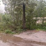 Продаж комерційної нерухомості по вул. Берковецька, 0 м² | 19