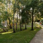 Оренда будинку 250м², 28 соток, Козин | 16