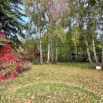 Оренда будинку 210м², 18 соток, Нові Петрівці | 8