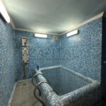 Оренда будинку 240м², 15 соток, Требухів | 18