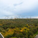 Rent 4-room apartment on Holosiivskyi St. 1 | 18